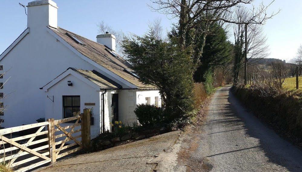 Nant yr Onnen B&B&Holiday Cottage Tregaron Exteriör bild