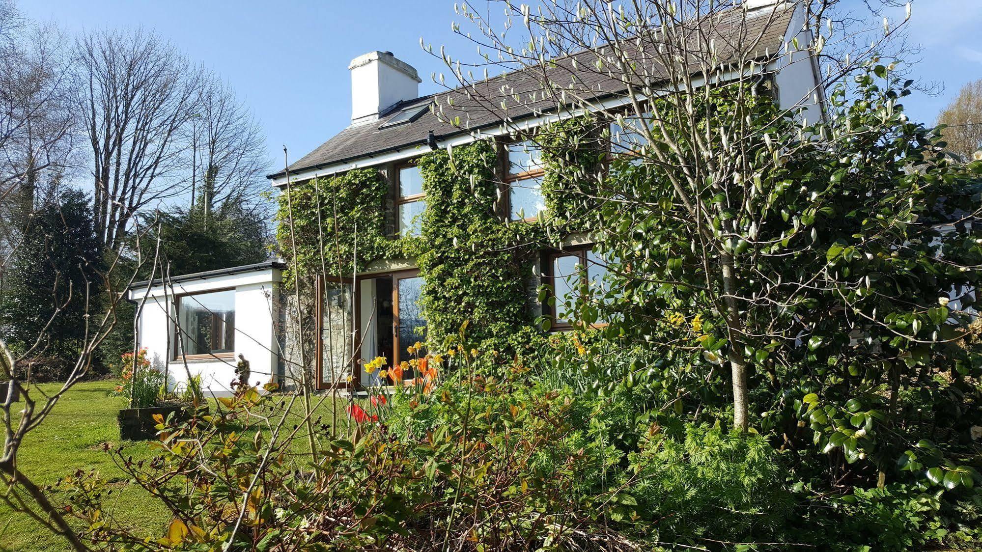 Nant yr Onnen B&B&Holiday Cottage Tregaron Exteriör bild