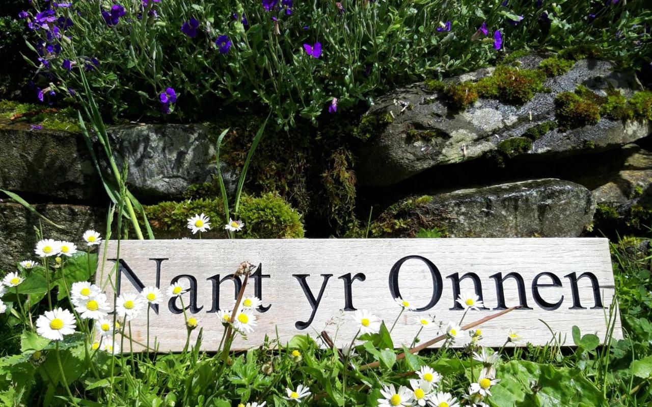 Nant yr Onnen B&B&Holiday Cottage Tregaron Exteriör bild